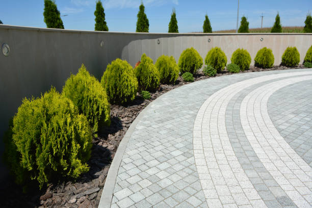 Best Driveway Pavers Near Me  in Joppatowne, MD